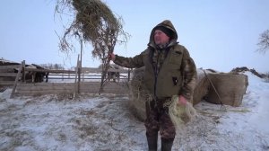 Весна пришла, в деревню . Омск Москаленки жизнь в деревне.