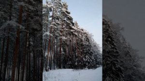 №76 Гармонизация и балансировка тонких тел