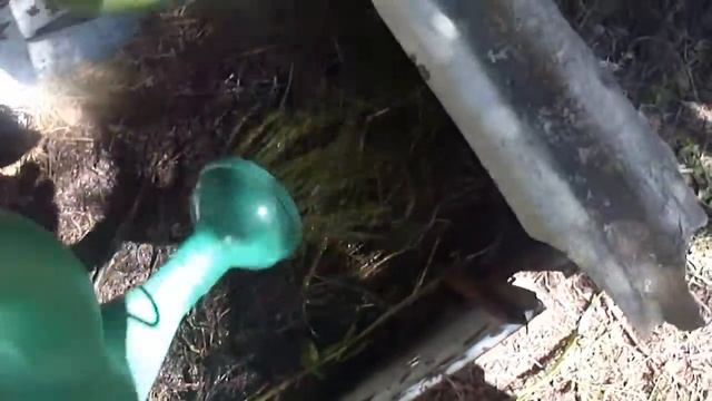 Confrei e seus vários usos na horta e jardim - Parte 2 смотреть онлайн