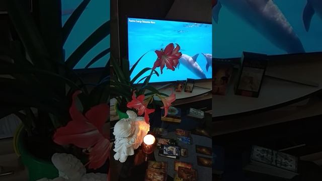 Внутреннее пространство.Как бороться со своими страхами. смотреть онлайн
