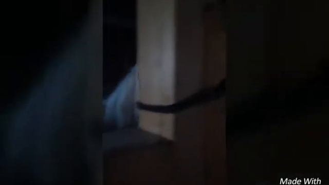 16.12.2017✨/Мы используем нецензурные выражения?/Короткий денек смотреть онлайн