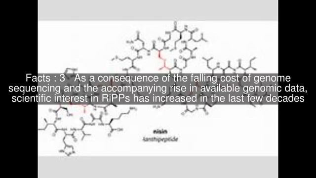 Ribosomally synthesized and post-translationally modified peptides Top #6 Facts смотреть онлайн
