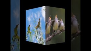 Люблю я петь псалмы побед
С тех пор, как я спасен.