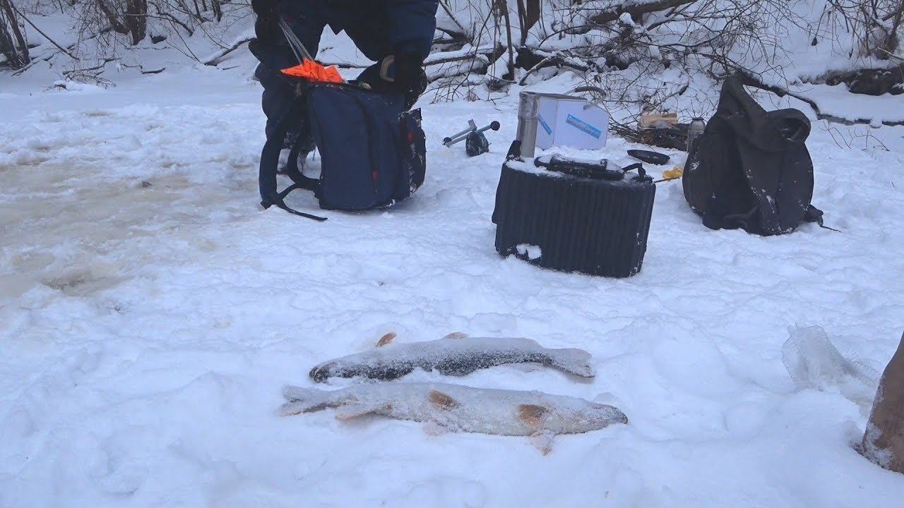 Рыбалка на таежной речке на жерлицы. Лесная изба заставила вернуться. @YTeterin смотреть онлайн