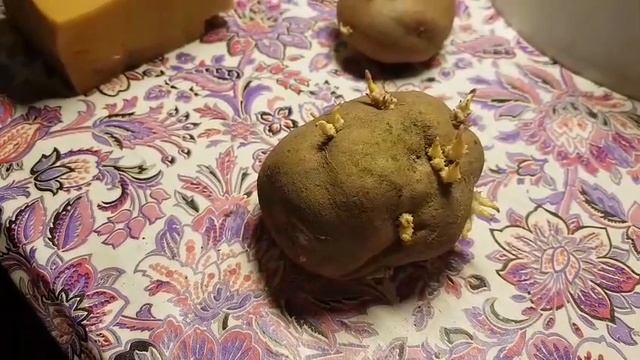 Семейная картошка Белый лебедь . смотреть онлайн