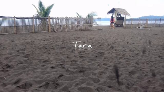 Teknik alBum 8. Tara - Rajjun смотреть онлайн