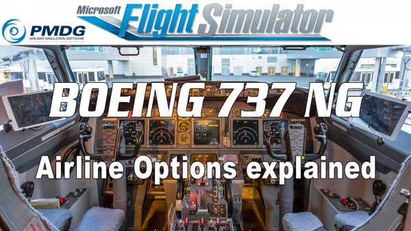 PMDG 737: Airline Options explained