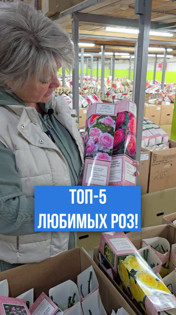 ТОП-5 любимых сортов роз!
