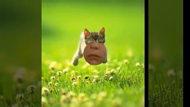 Песня Lille Katt из т/с Приключения Эмиля из Лённеберги