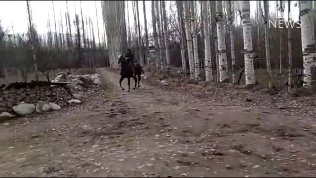 Сатылды! Заты Бишкек бойу 168 см улакчы Ат 300 000 сом Улагына гарантия 100% смотреть онлайн