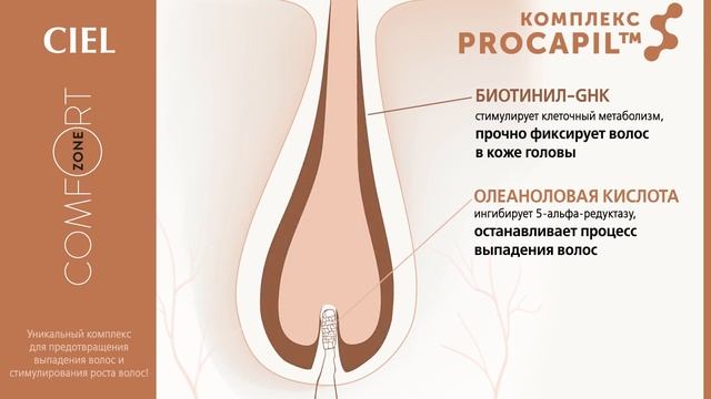 თმის ცვენის საწინააღმდეგო შამპუნი და შრატი Comfort Zone CIEL смотреть онлайн