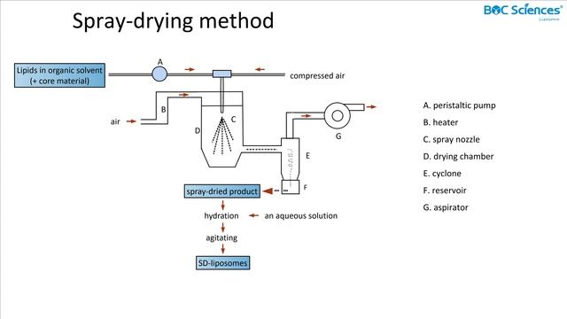Liposome Preparation 1