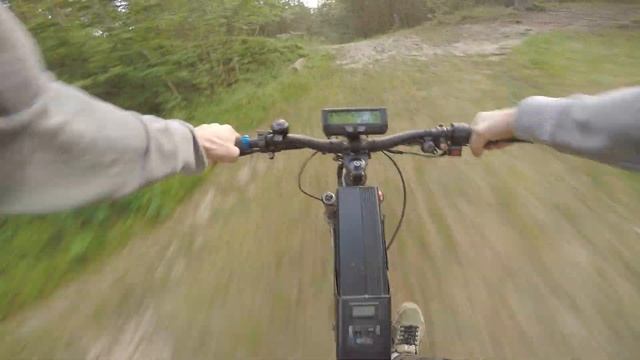 Peaceful ride in forest1-5.5kw ebike смотреть онлайн