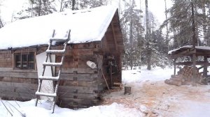 Шикарный дом  по среди глухого ЛЕСА  Сбор чаги и новые идеи