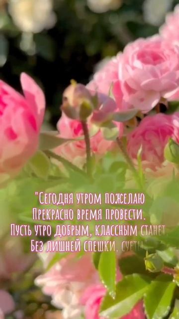 Пусть утро добрым, классным станет смотреть онлайн