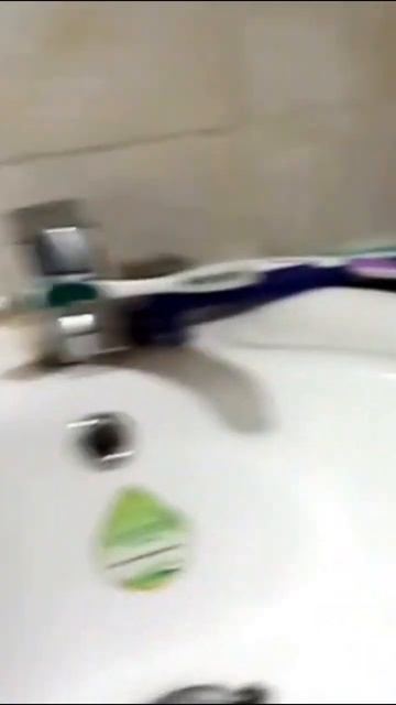 Lovely Hamster and Yummy Time смотреть онлайн