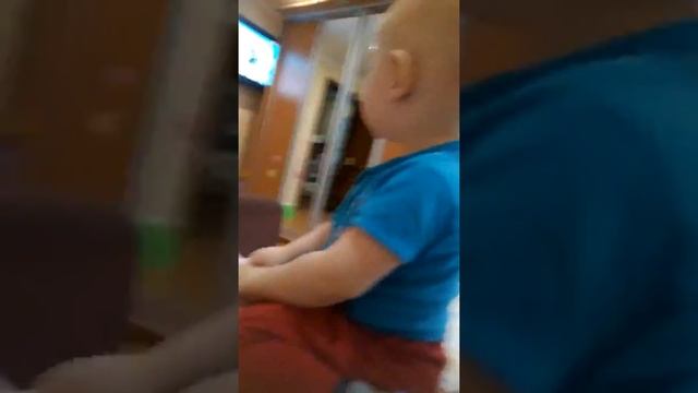 Голодная собака смотреть онлайн