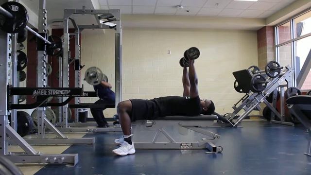 STATIC DUMBBELL PRESS смотреть онлайн