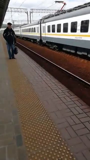 Электропоезд ЭП2Д 0209 сообщением Москва Казанский вокзал - 88 км смотреть онлайн