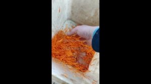 Пример нарезки моркови и свеклы тонкой соломкой на машине QC-PS-30 от РостПищМаш