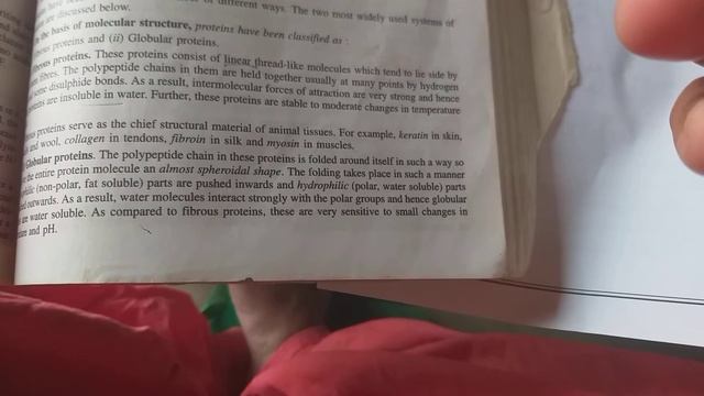 Biomolecules chemistry class12 смотреть онлайн