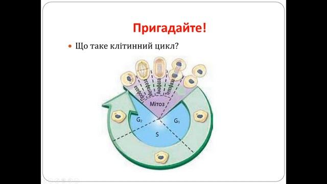 Розвиток та смерть клітини смотреть онлайн