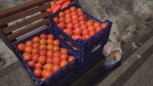 Мандариновое настроение 2. Вологда 2025. "Пища Жизни".