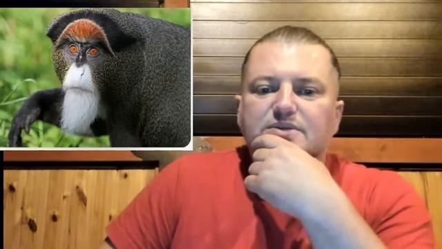 Marvel - zbroje bohaterów Strażnicy Galaktyki palma Teletubisie Thor Mroczny Świat Drangonball Bajm смотреть онлайн