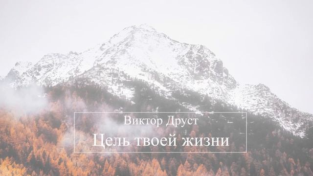 Цель твоей жизни - Виктор Друст смотреть онлайн