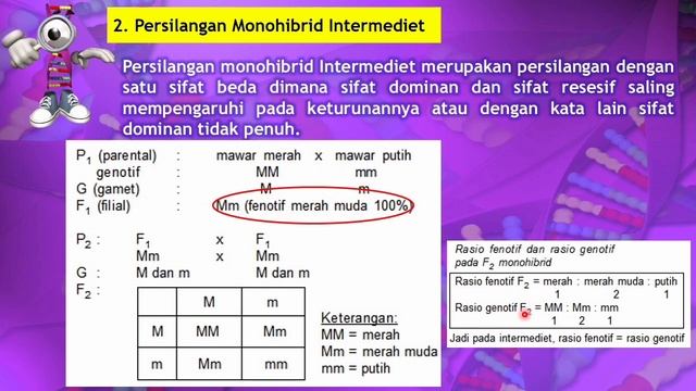 MATERI IPA KELAS 9 : PEWARISAN SIFAT_HUKUM MENDEL смотреть онлайн
