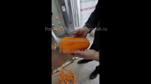 Испытание машины очистки тыквы, дыни, арбуза, кабачка от РостПищМаш