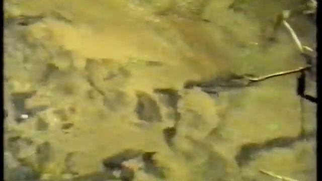Живая вода смотреть онлайн
