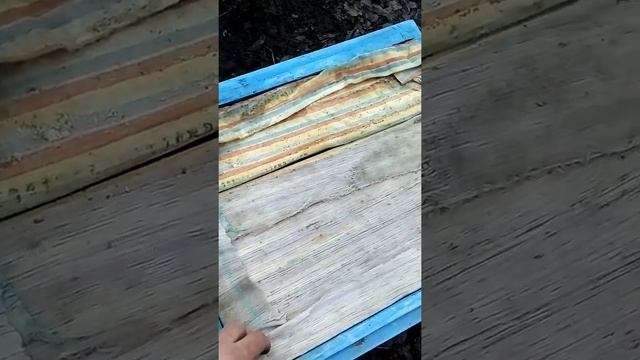 УСТАНАВЛИВАТЬ ПОДОГРЕВ В УЛЬЕ ИЛИ НЕТ смотреть онлайн