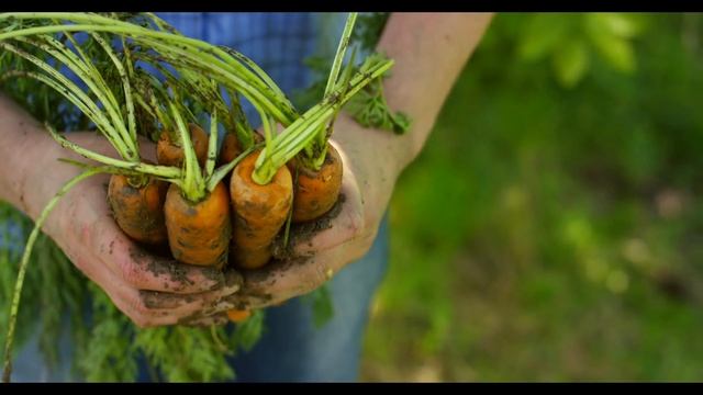 Why You Shouldn't RELY on Supplements смотреть онлайн