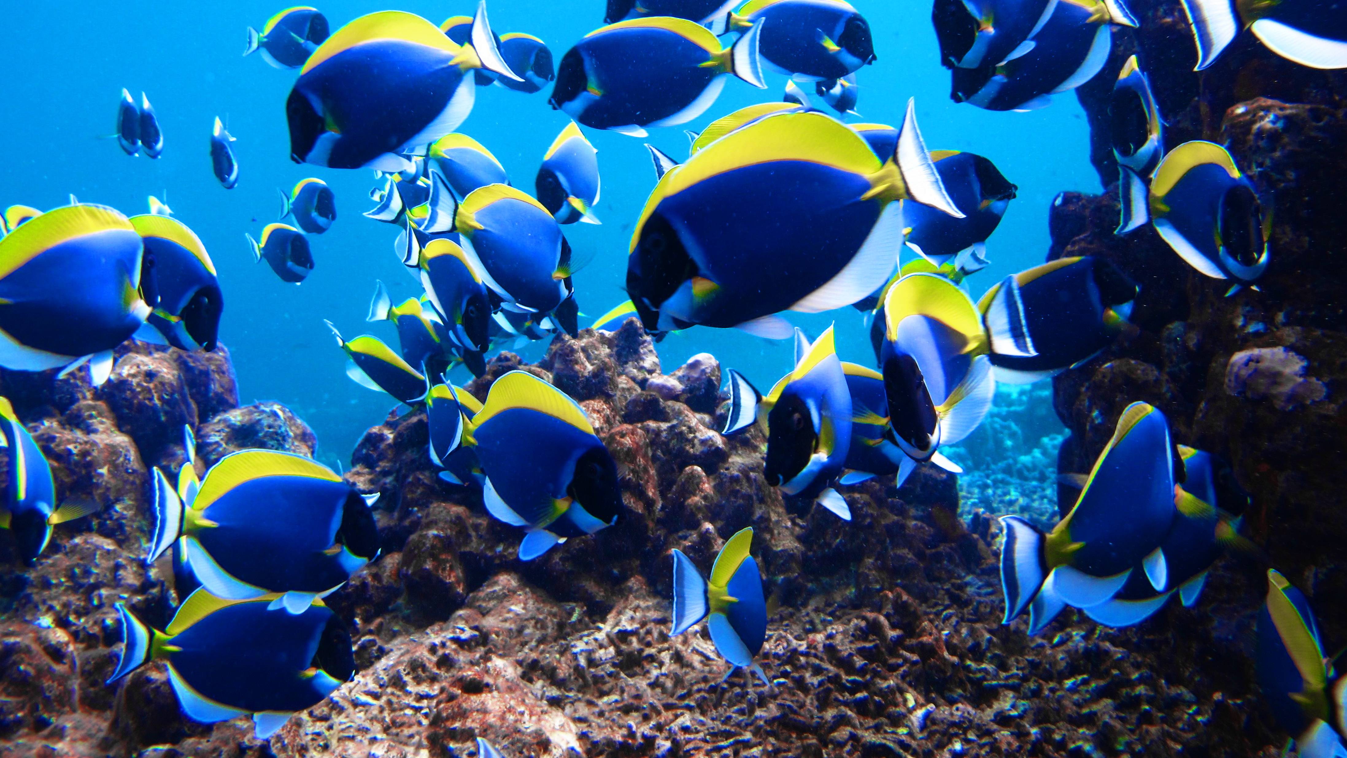 Пятнадцать дней в раю. (03.2025 г.) 4 серия. смотреть онлайн