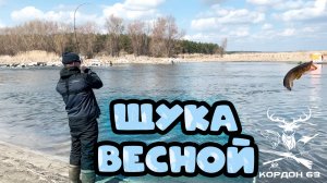 Щука весной 2025 Как поймать щуку весной
