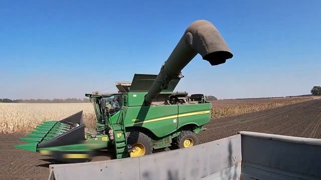 Демополе ТОВ «Сингента» на базі господарства ФГ "Омеляненко" 26.09.2020. Врожайність соняшнику смотреть онлайн