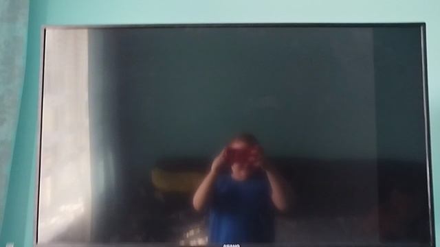 Обзор на DVD-диск Лунтик Сезон 1. Выпуск 5: "День рождения"