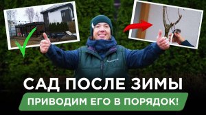 Как привести сад в порядок после зимы: простые и важные шаги