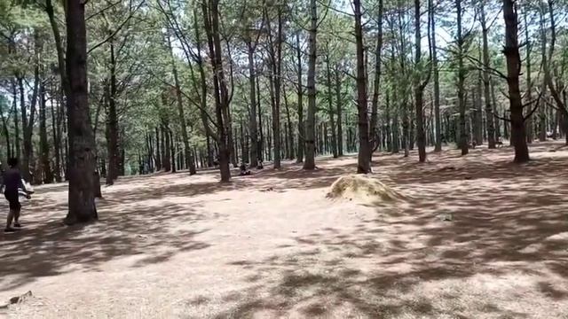 DON SALVADOR BENEDICTO смотреть онлайн