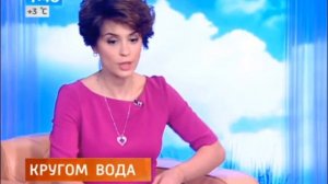 Ирина Муромцева Интервью с заведующей лабораторией геоэкологии МГИМО Утро России 12.03.2014