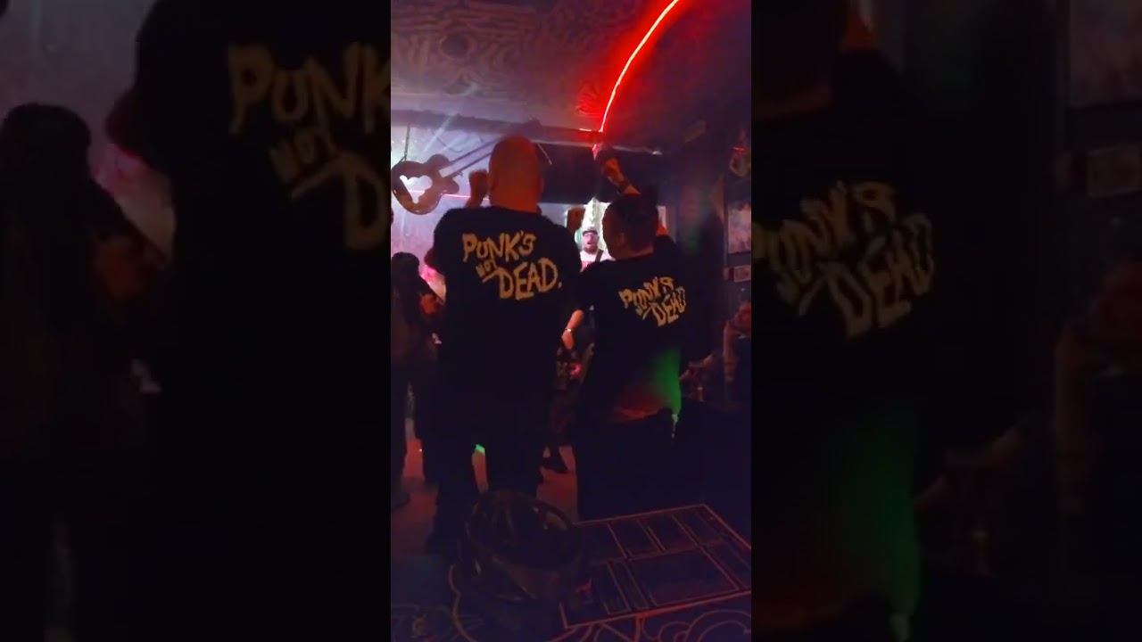 Punks not dead #doodle_music #группадудл #punksnotdead смотреть онлайн