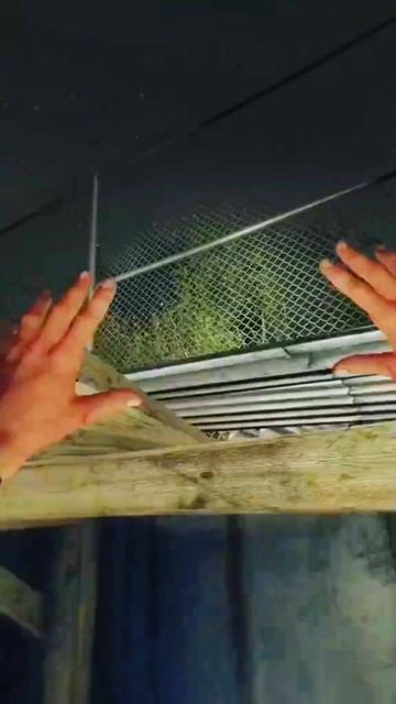 Dying To SURVIVE The Light!