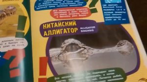 Журнал крокодилы и ко макси