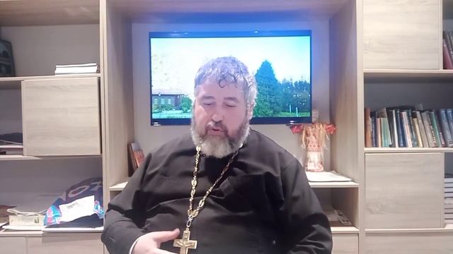 Генетические мутации и образование видов. Часть 3 смотреть онлайн