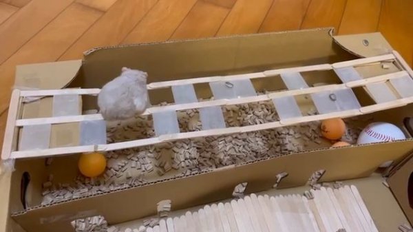 Squid Game x Hamster Game by Homemade