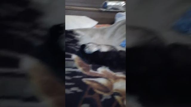 Харек смотреть онлайн