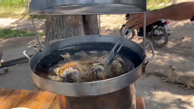 Se nos antojaron unos roncachos fritos en el árbol de la felicidad si te gusta el pescado frito смотреть онлайн
