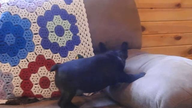 Rita смотреть онлайн