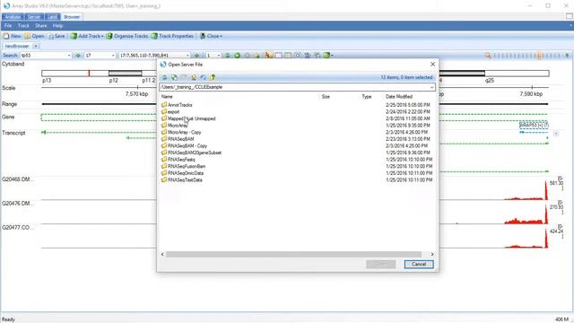 Genome Browser - Load BAM coverage tracks from files смотреть онлайн